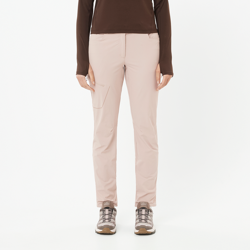 Pantaloni da Escursionismo WAYFARER SALOMON in Etherea