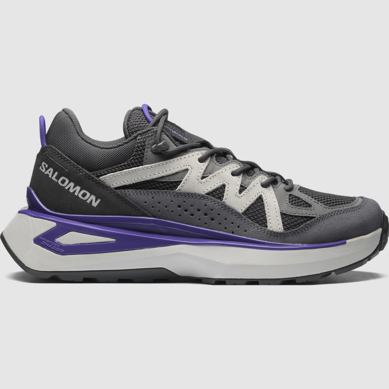 SALOMON Odyssey Elmt Low Castlerock Scarpe Hybrid